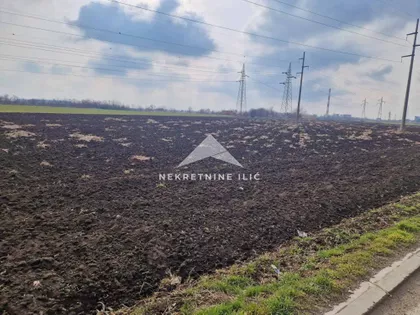 Zeleno Polje | 4zida.rs