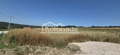Rogača | 4zida.rs