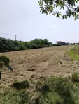 Poljoprivredno zemljište | 4zida