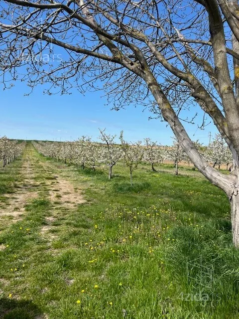 Poljoprivredno zemljište | 4zida