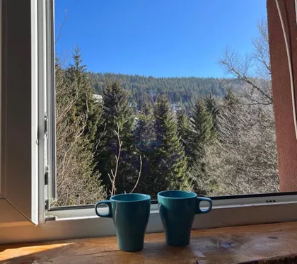 Banjski Kopaonik | 4zida.rs