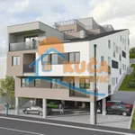 Rasadnik, Palilula, Gradske lokacije, Niš | 4zida.rs | 4zida.rs