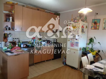 Sušica | 4zida.rs