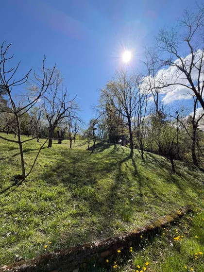 Radovašnica | 4zida.rs