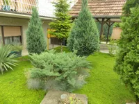 Trnava, Gradske lokacije, Jagodina | 4zida.rs