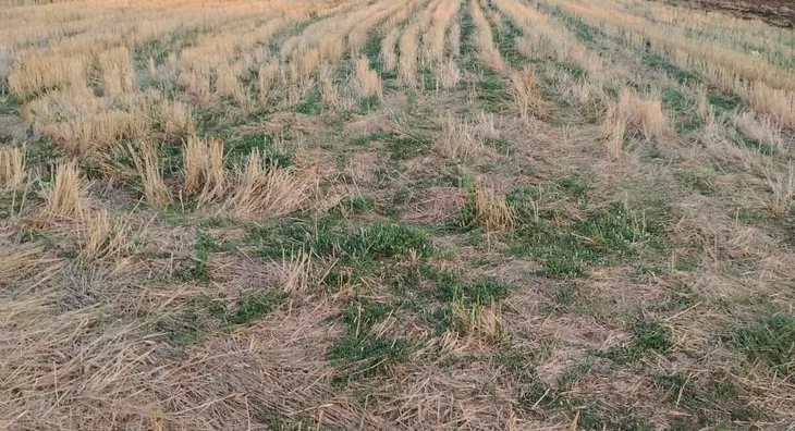 Poljoprivredno zemljište | 4zida