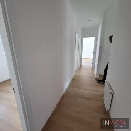 Podbara | 4zida.rs