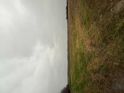 Dubrava | 4zida.rs