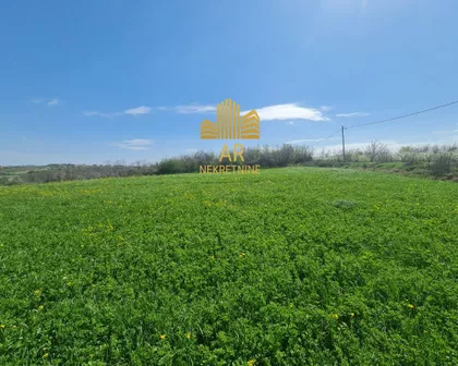 Gornja Trnava | 4zida.rs