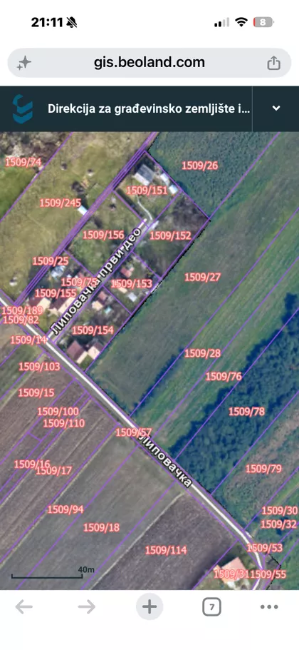 Lipovačka | 4zida.rs