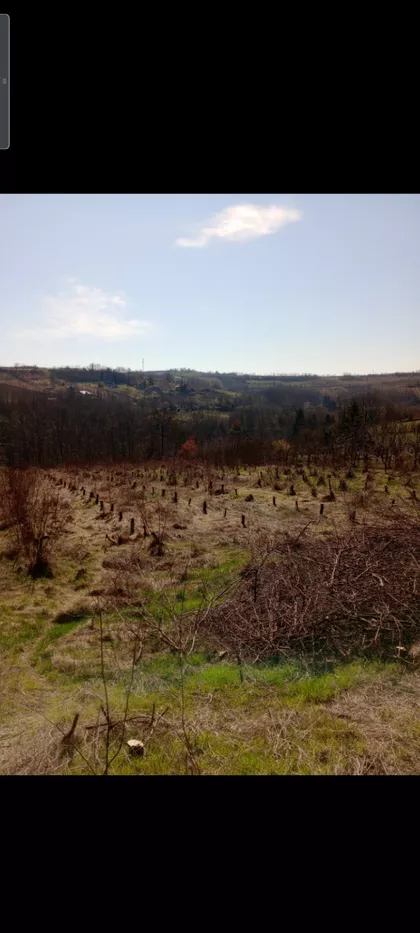 Pivska bb | 4zida.rs