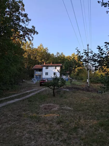 Patrijarha Pavla | 4zida.rs