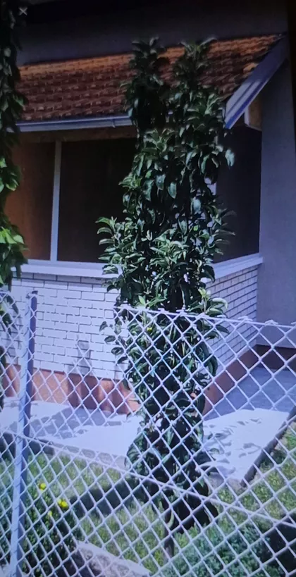 14. Kovanlučka | 4zida.rs