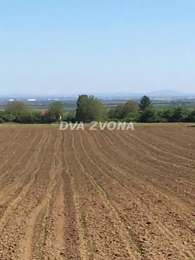 Čortanovci