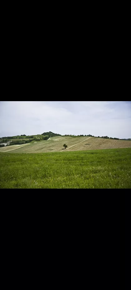 Branko Bjegović | 4zida.rs