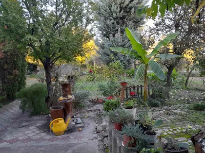 Novo Naselje | 4zida.rs