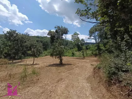 Vrdnik | 4zida.rs