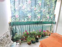 Novo Naselje, Gradske lokacije, Novi Sad | 4zida.rs
