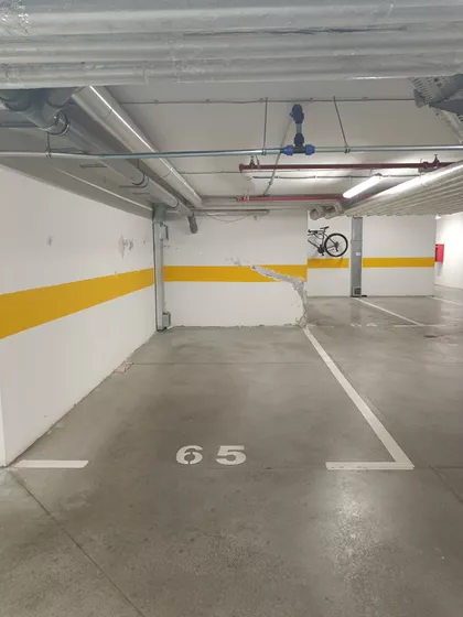 Vase Pelagića | 4zida.rs