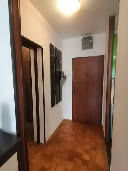 Detelinara | 4zida.rs