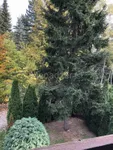 Centar, Gradske lokacije, Zlatibor | 4zida.rs | 4zida.rs