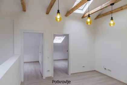 Cara Dušana | 4zida.rs