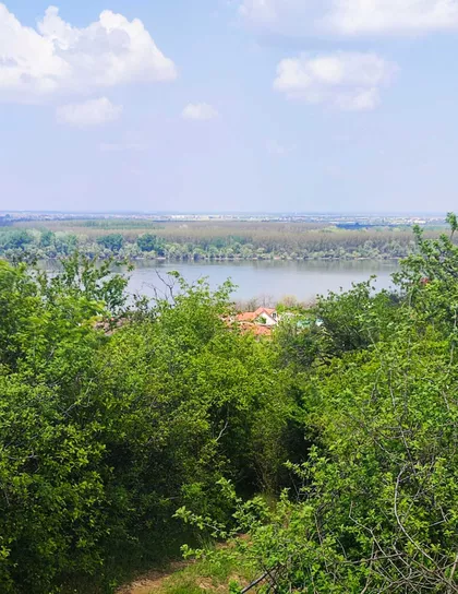 Višnjica | 4zida.rs