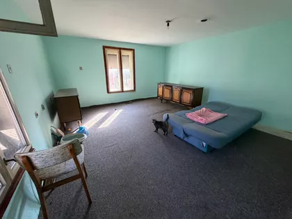 Bivolje | 4zida.rs