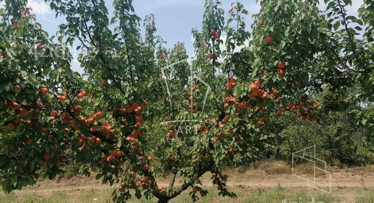 Poljoprivredno zemljište | 4zida