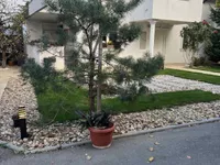 Veliki Mokri Lug, Zvezdara opština, Beograd | 4zida.rs