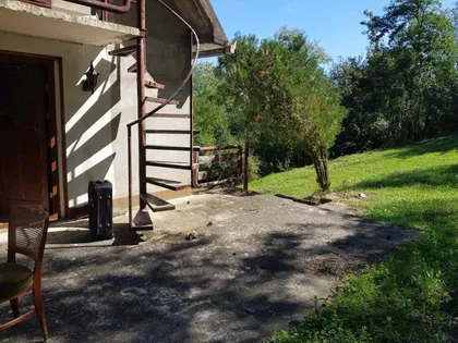Miodraga Ilića | 4zida.rs