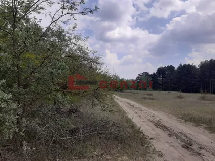 Kelebija | 4zida.rs