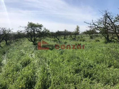 Radanovac | 4zida.rs