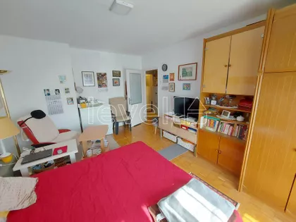 Stara Detelinara | 4zida.rs