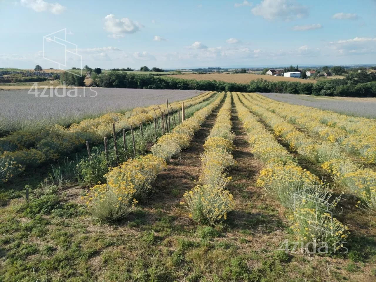 Poljoprivredno zemljište | 4zida