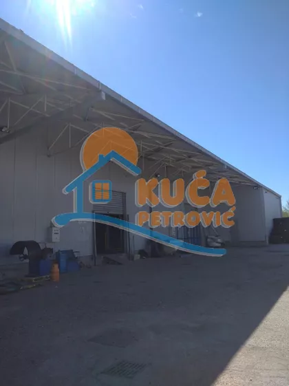 Bulevar 12. februar | 4zida.rs