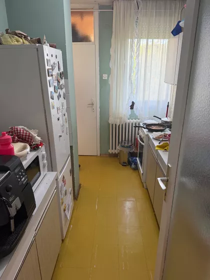 Ruža Šulman | 4zida.rs