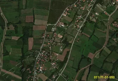 Živka Stevanovića Žikice