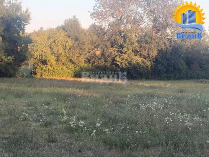 Veliki Borak | 4zida.rs