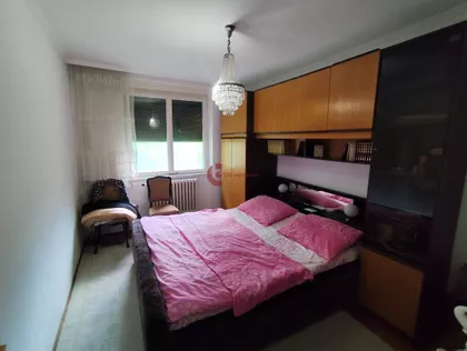 Radijalac | 4zida.rs