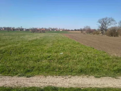 Augusta Cesareca | 4zida.rs