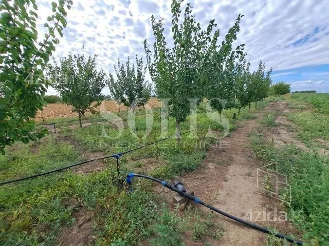 Poljoprivredno zemljište | 4zida