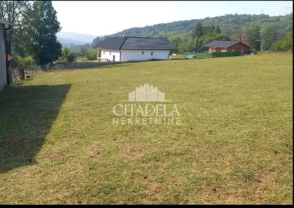 Stara lipovica | 4zida.rs