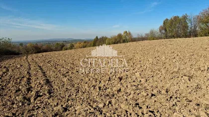 Živkovci | 4zida.rs