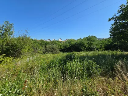 Đikino Brdo | 4zida.rs