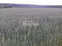 Poljoprivredno zemljište | 4zida