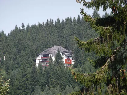 Zlatar | 4zida.rs
