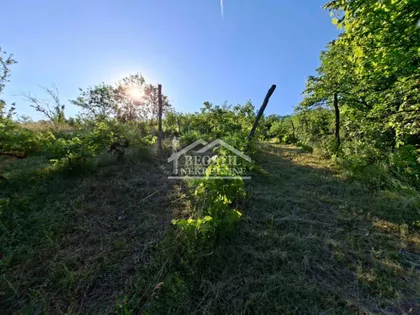 Zaklopača | 4zida.rs