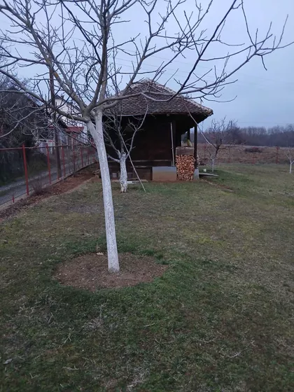 Vidovdanska 19 | 4zida.rs