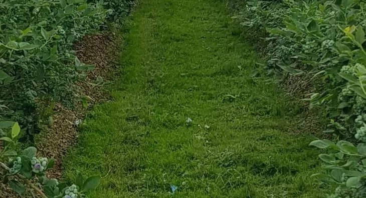 Poljoprivredno zemljište | 4zida